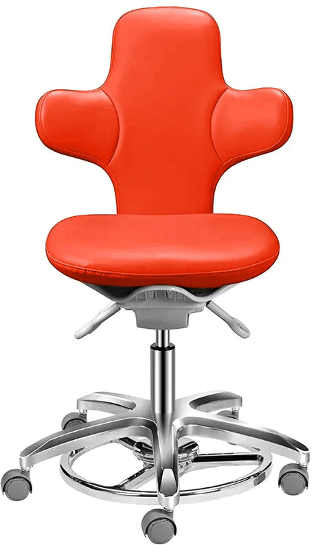 Luce Chair - Ergonomic Comfort for Versatile Workspaces - Office Logix Shop