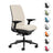 Office Logix Shop Office Task Chair Tan Steelcase Amia Task Chair - Fully Adjustable - Black Frame (Renewed)