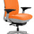 Steelcase Amia Task Chair - Fully Adjustable - Platinum Frame (Renewed) - Office Logix Shop